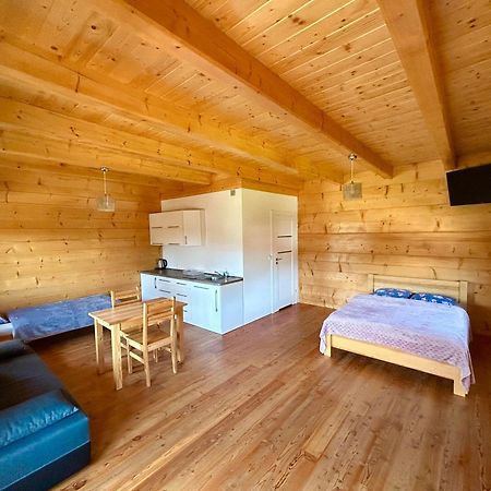 Domki Goralskie Na Podhalu Zakopane Tokarnia  Εξωτερικό φωτογραφία
