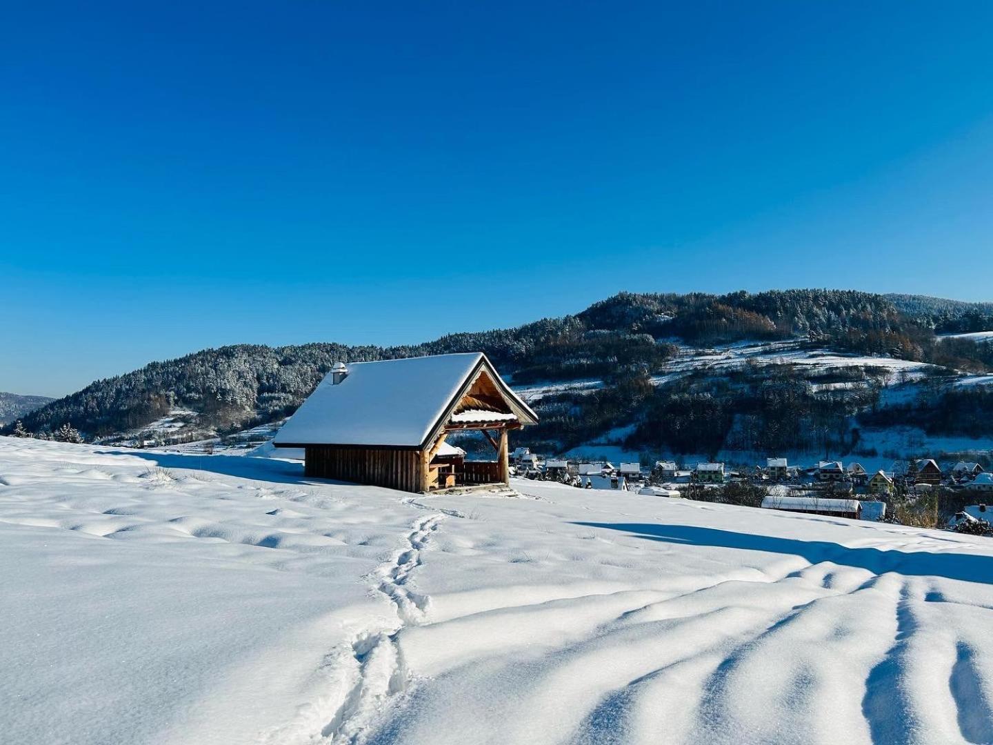Domki Goralskie Na Podhalu Zakopane Tokarnia  Εξωτερικό φωτογραφία